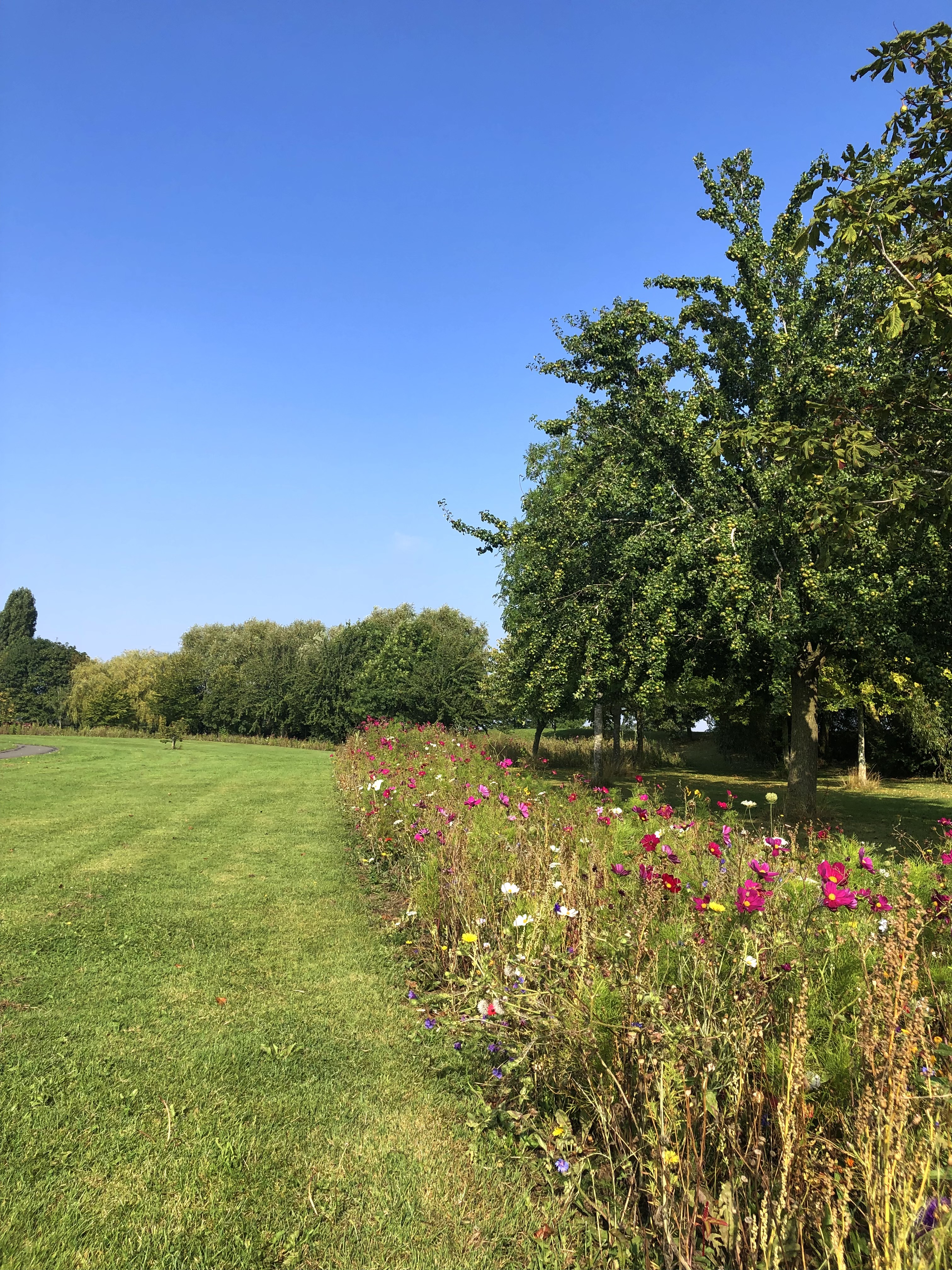 Hill Rise Park