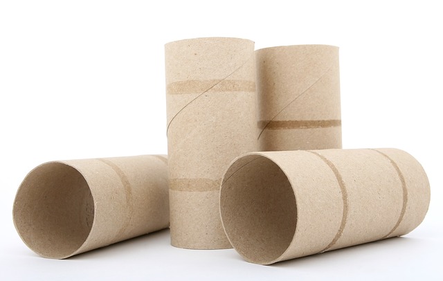 Toilet roll tube