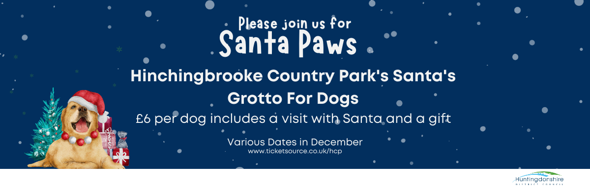 Bring your dog to see Santa's Grotto at Hinchingbrooke Country Park!