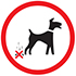 Dog Waste